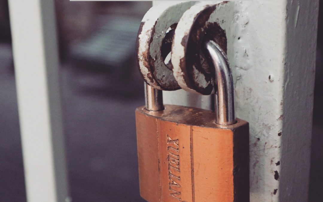 Mejoras en la seguridad de la bodega a través de la automatización de sistemas de vigilancia y control de acceso.